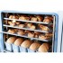 Печь конвекционная ABAT (АБАТ) КЭП-10П-01 11000019108 11000019108 Печь конвекционная ABAT (АБАТ) КЭП-10П-01 11000019108 11000019108